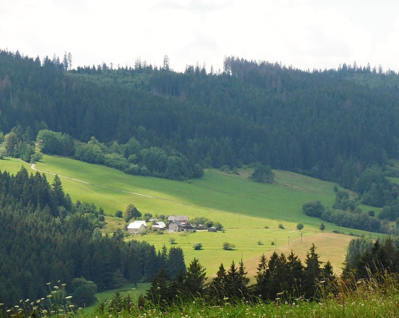 img00024.jpg