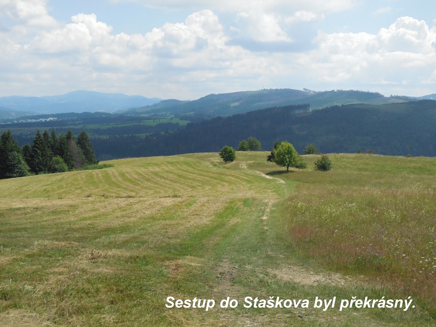 img00028.jpg