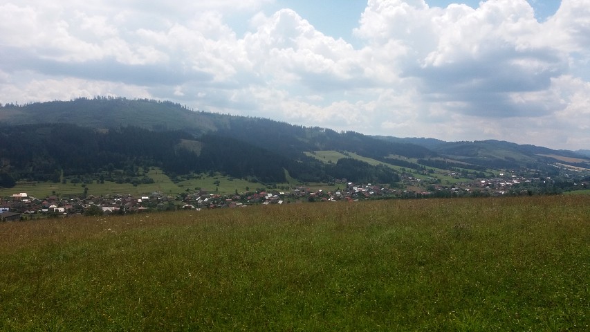 img00029.jpg