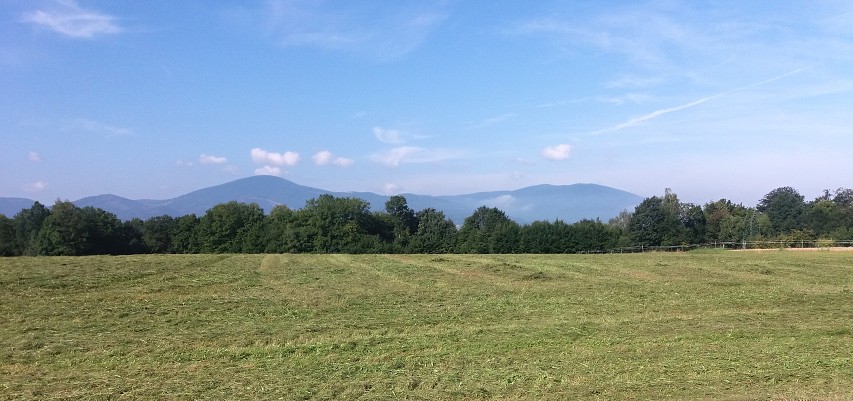 img00008.jpg