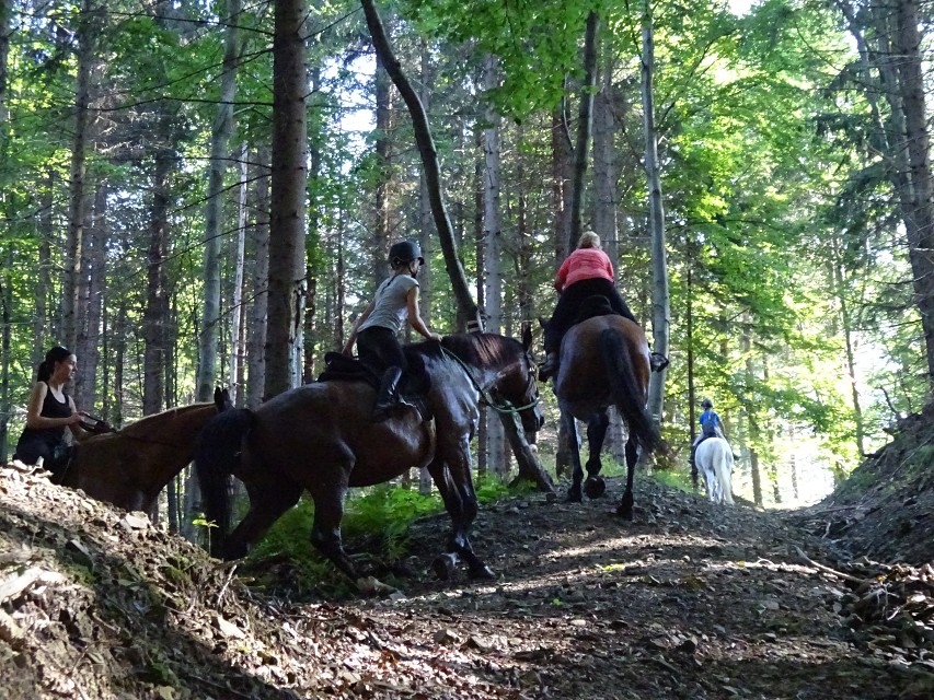 img00009.jpg