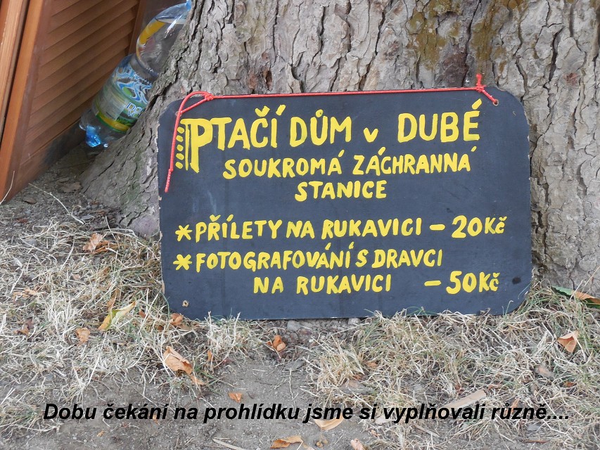img00022.jpg
