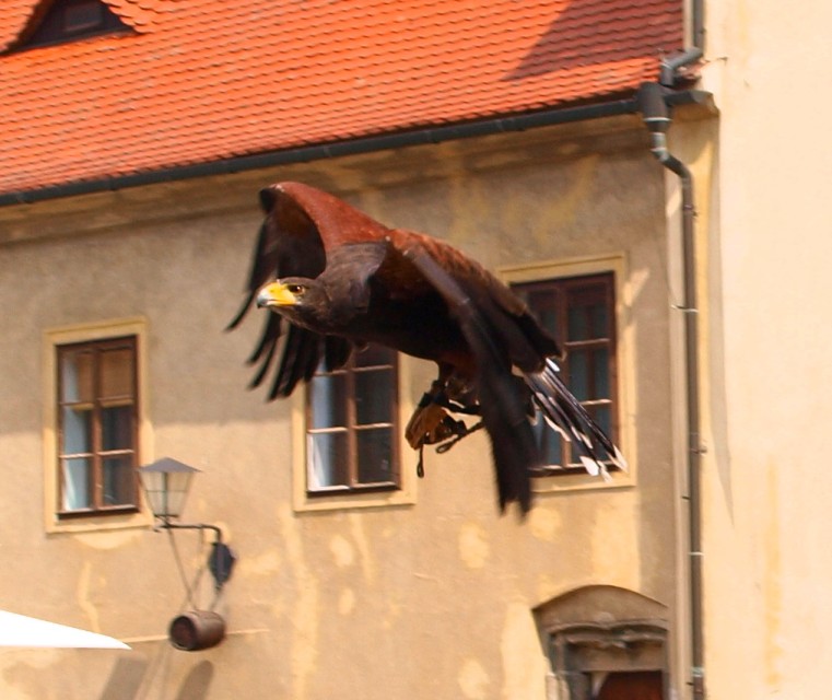 img00026.jpg