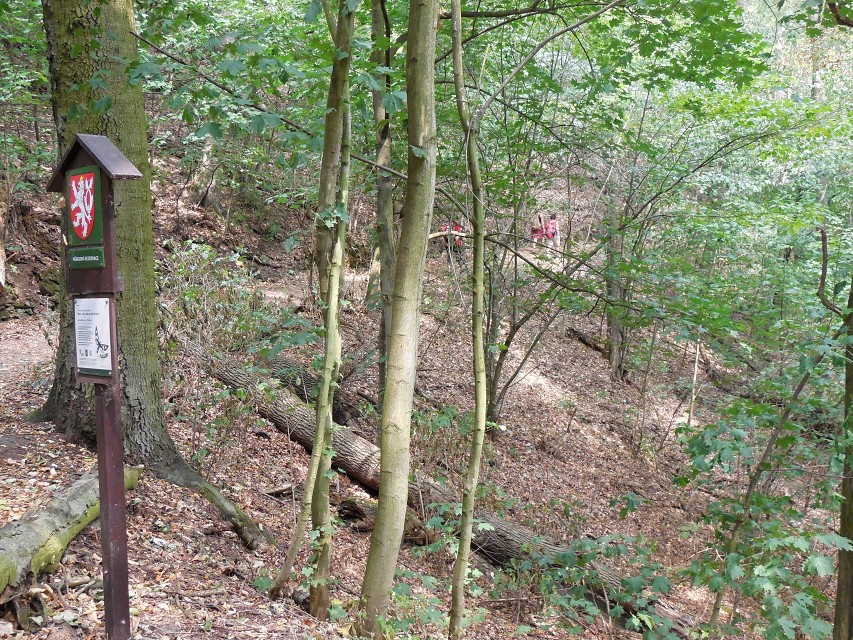 img00047.jpg