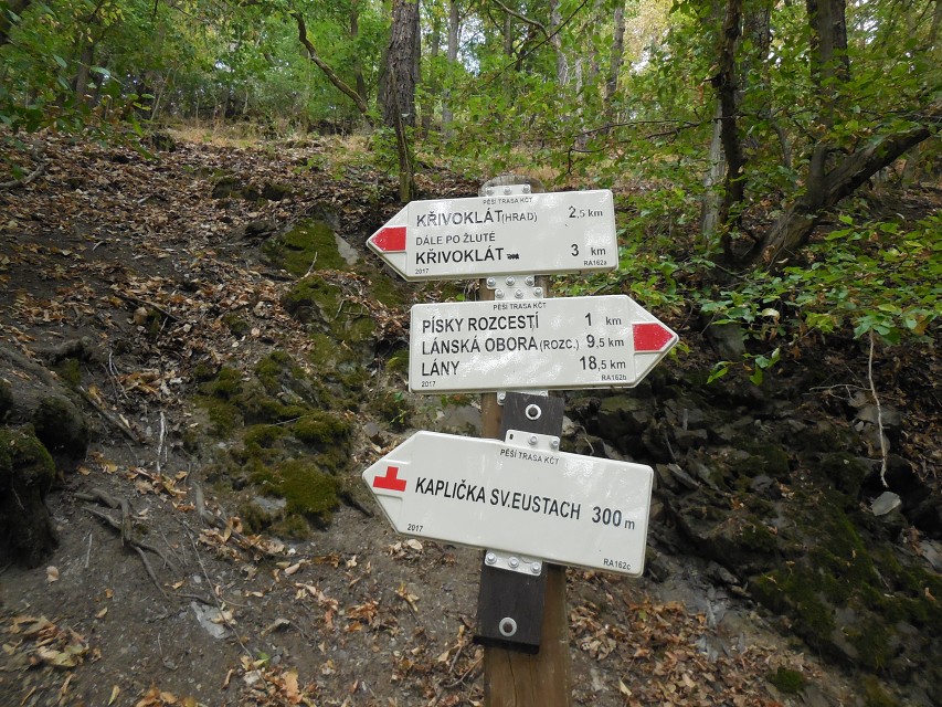 img00048.jpg