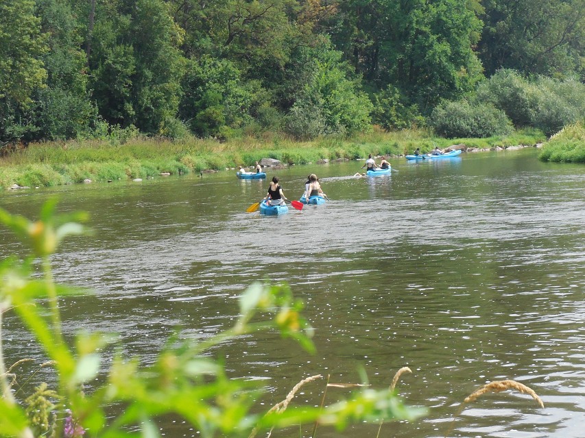 img00055.jpg