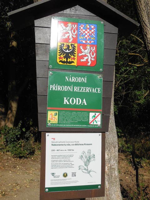 img00077.jpg
