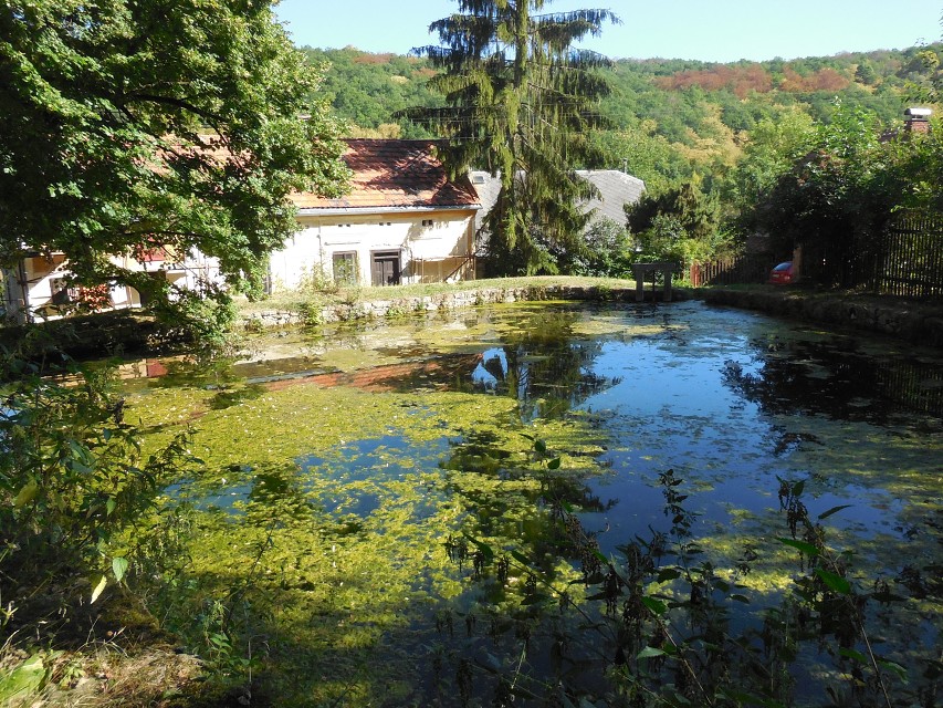 img00079.jpg