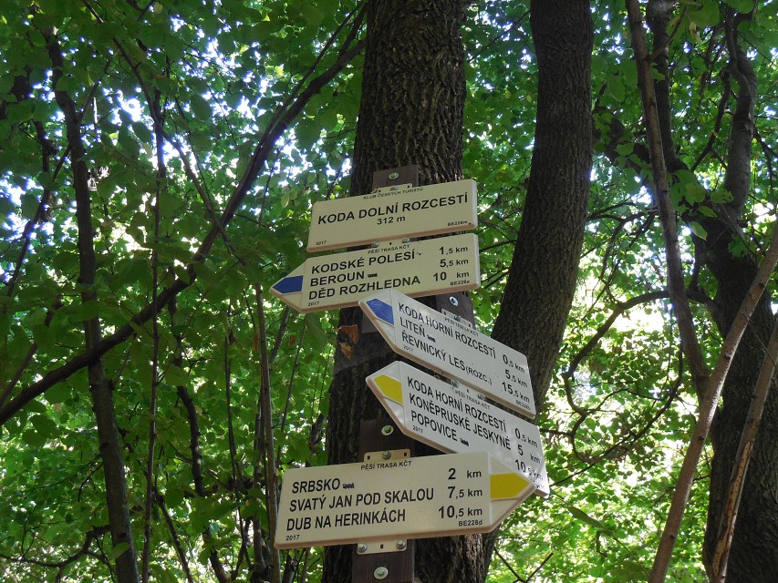 img00082.jpg