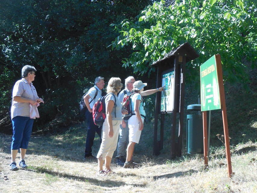 img00084.jpg