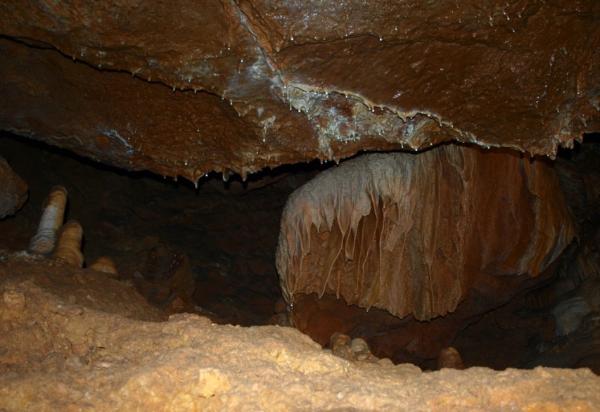 img00101.jpg