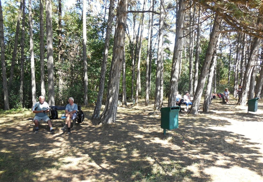 img00113.jpg