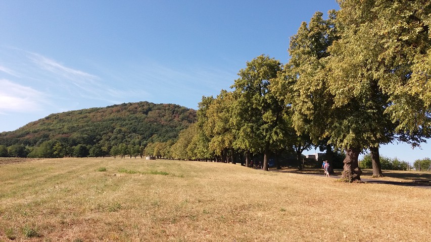 img00134.jpg