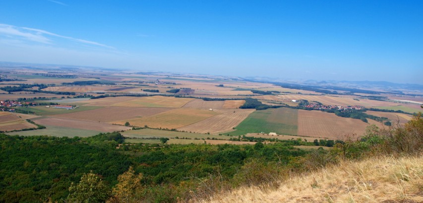img00157.jpg