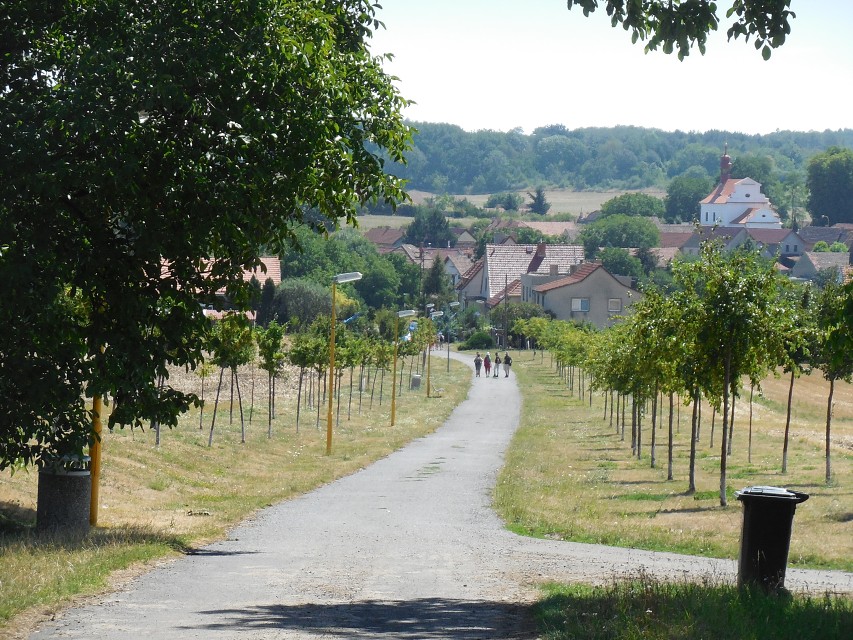 img00160.jpg