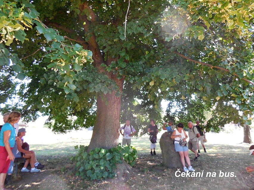 img00161.jpg