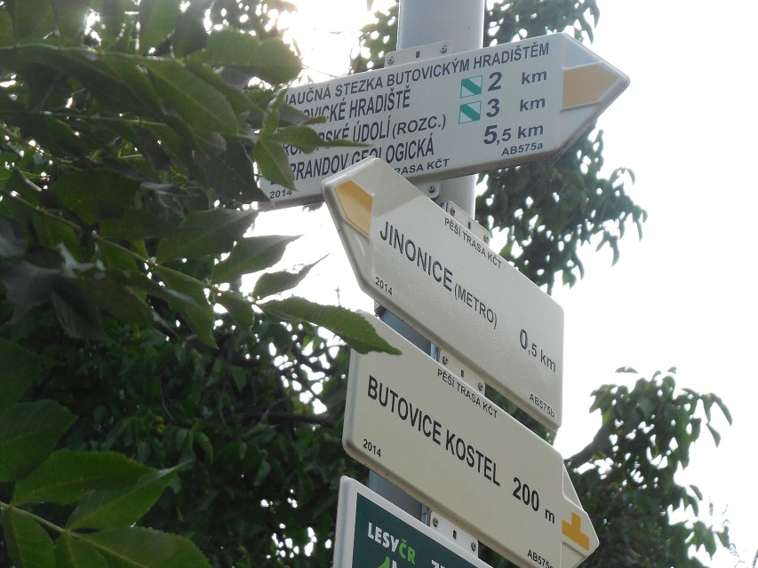 img00186.jpg