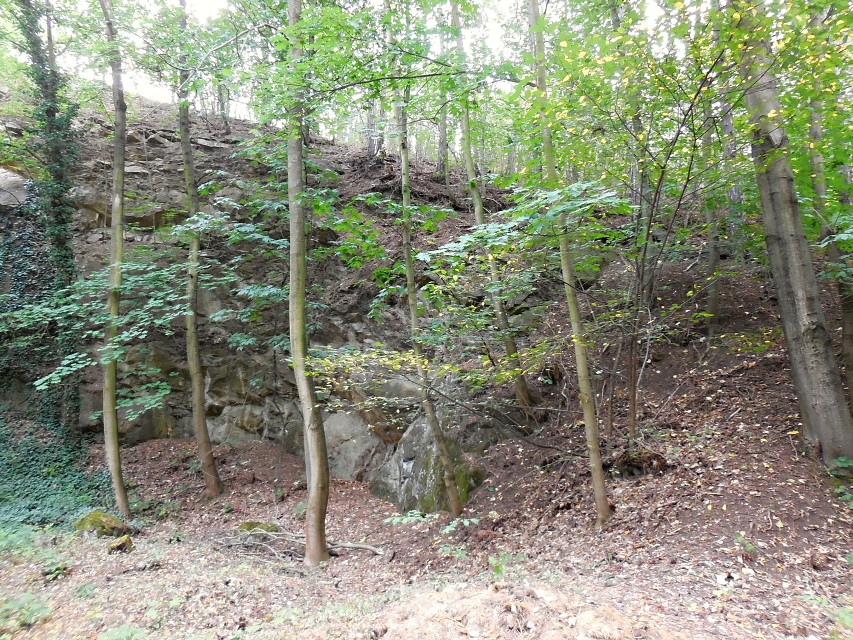 img00188.jpg