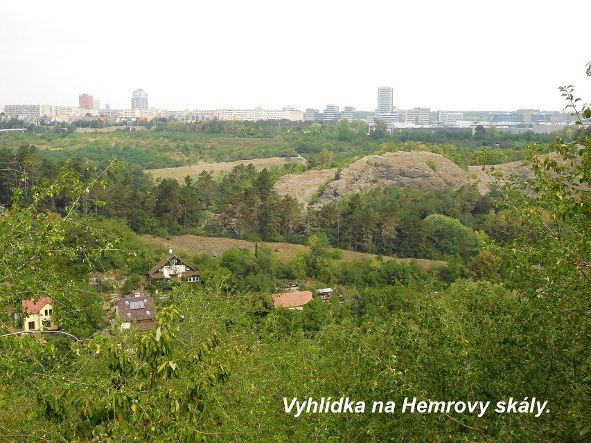 img00189.jpg
