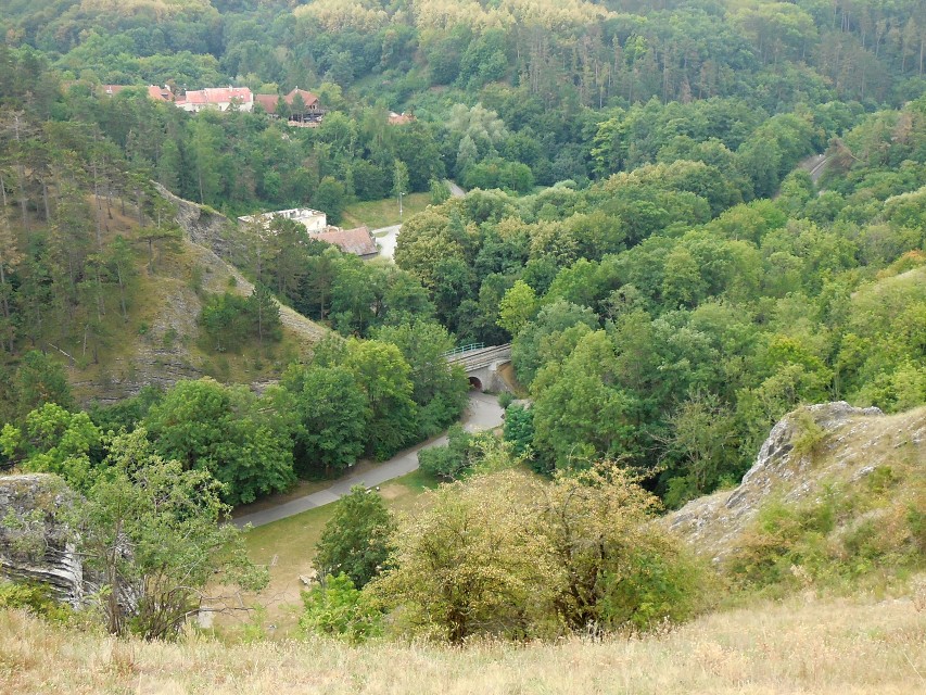 img00194.jpg