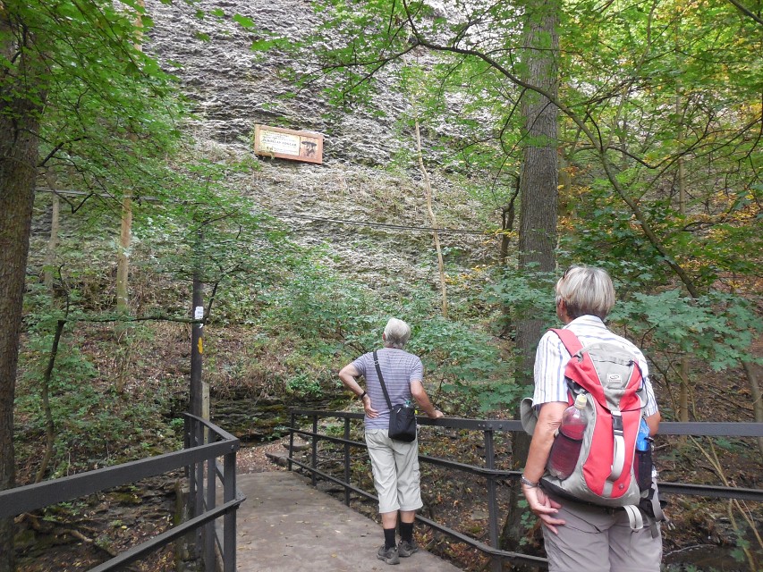 img00195.jpg