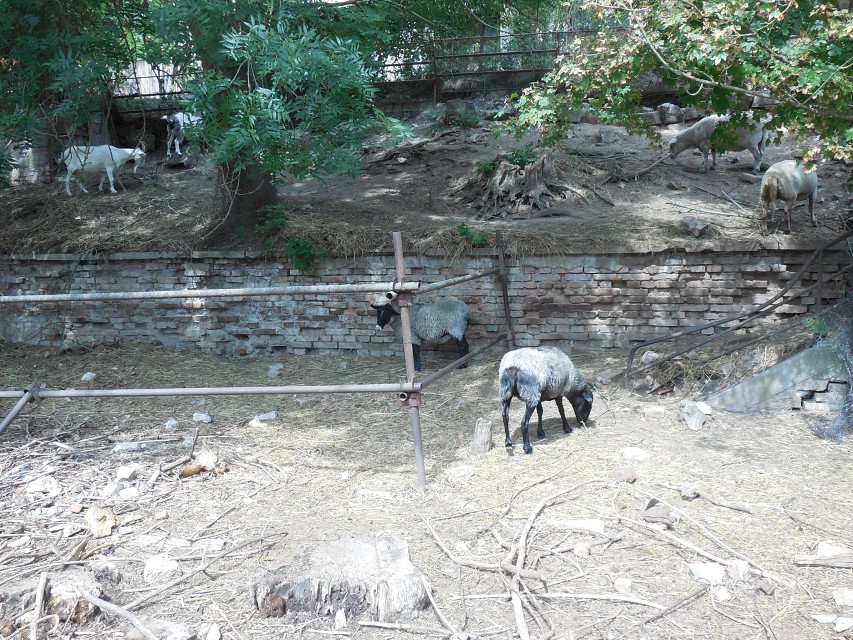 img00202.jpg