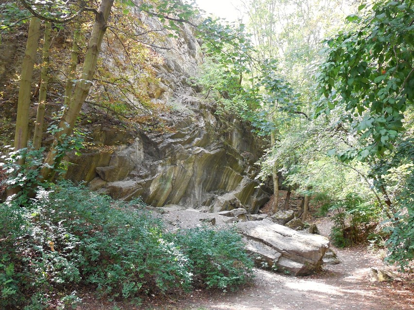 img00204.jpg