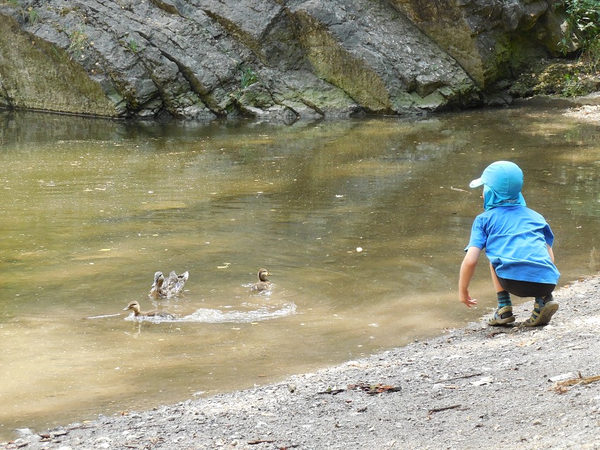 img00205.jpg