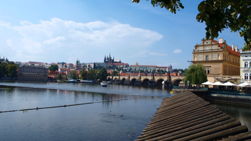 img00223.jpg