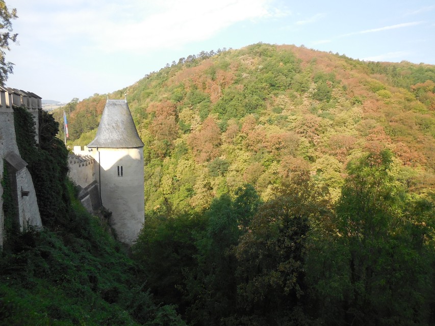 img00230.jpg
