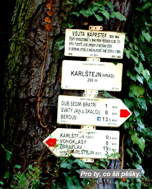 img00239.jpg