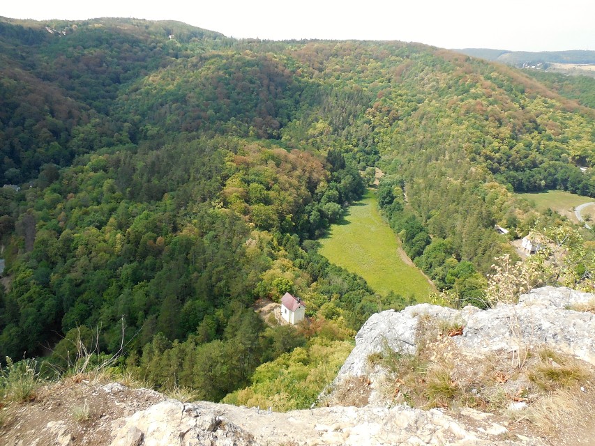 img00252.jpg