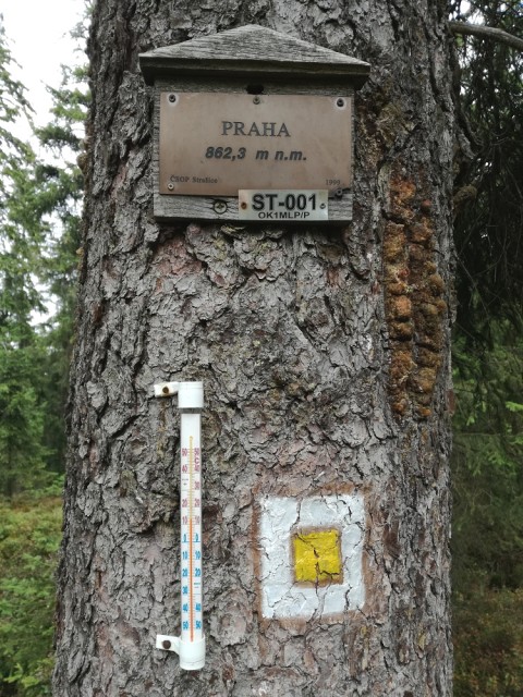 img00279.jpg