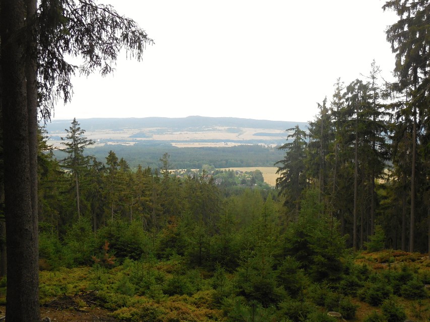 img00284.jpg