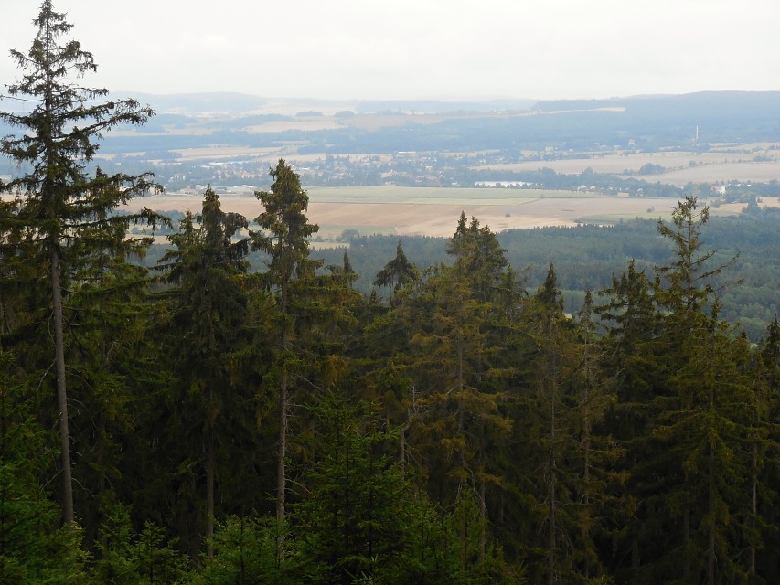 img00285.jpg