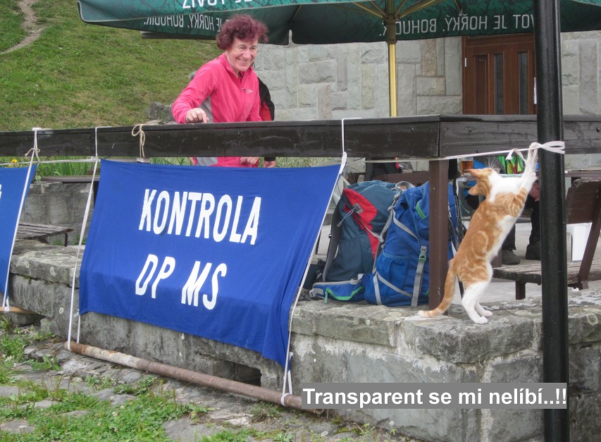 img00011.jpg