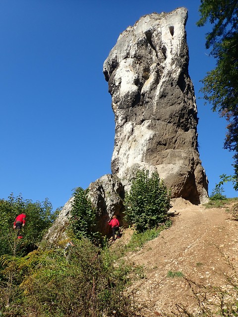 img00012.jpg