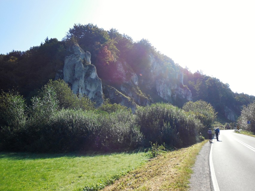 img00016.jpg