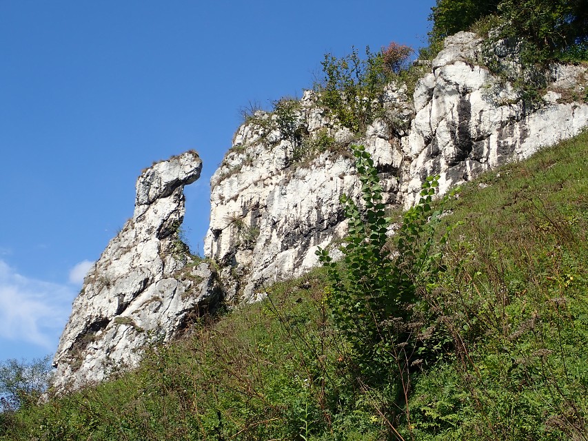 img00029.jpg