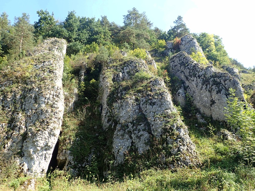 img00030.jpg