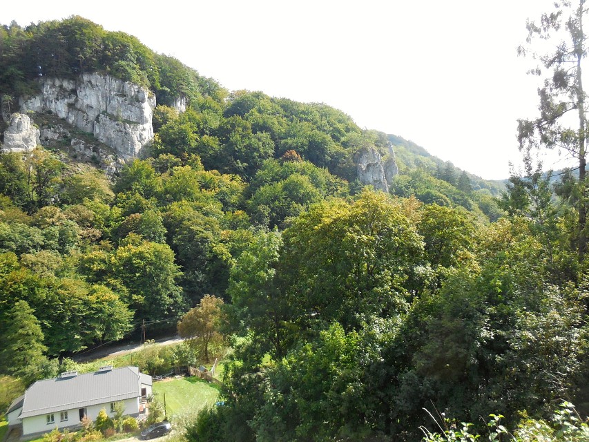 img00048.jpg