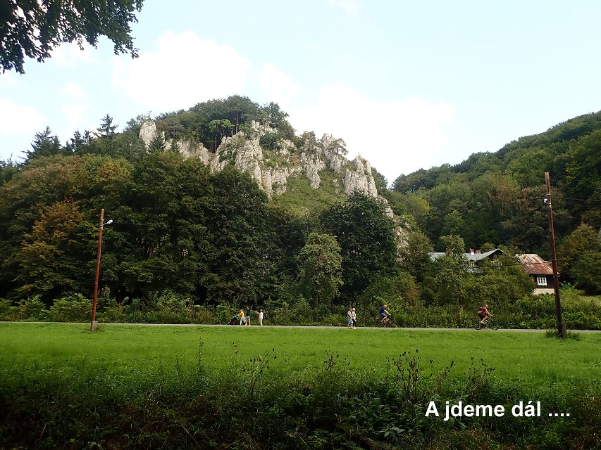 img00050.jpg