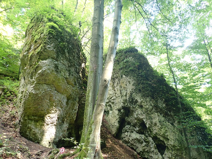 img00055.jpg