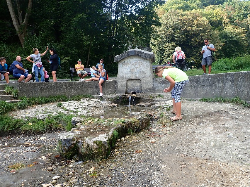 img00062.jpg