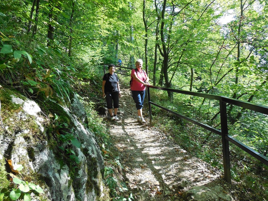 img00071.jpg