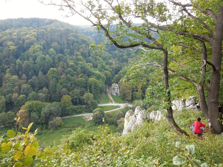 img00079.jpg