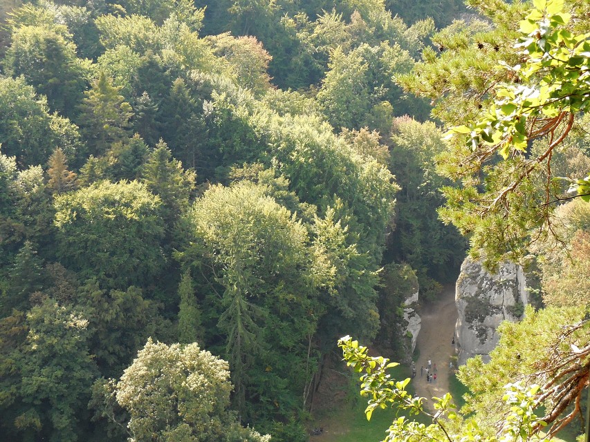img00080.jpg