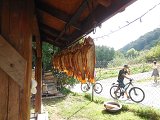 thn00084.jpg