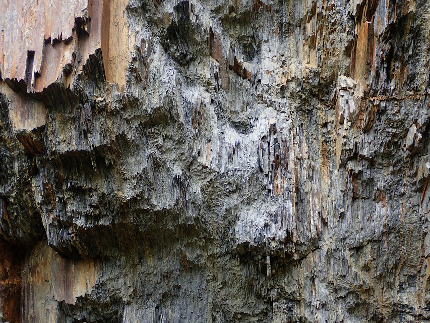img00009.jpg