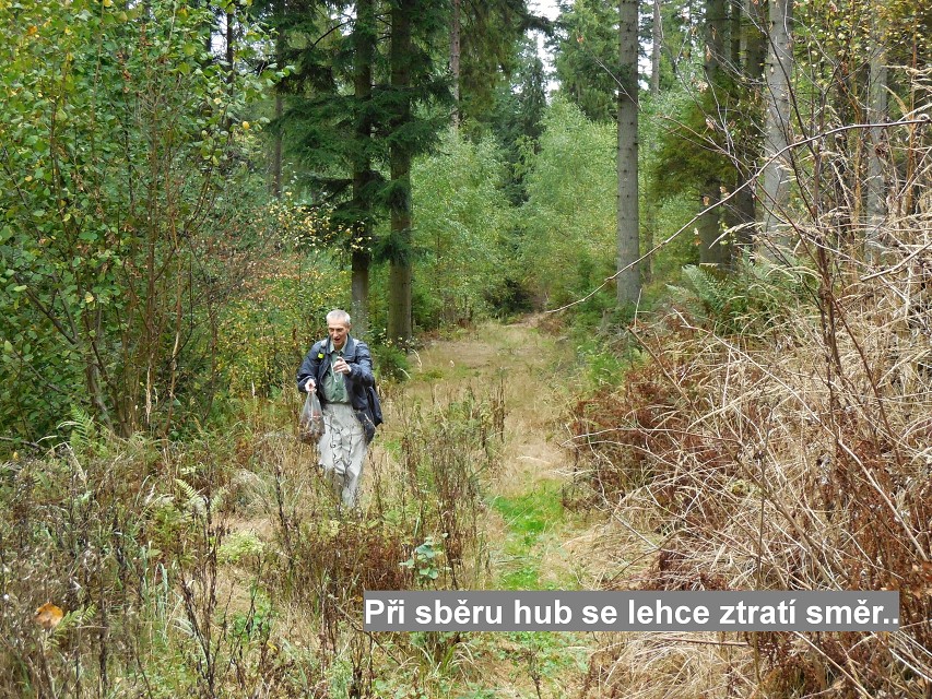 img00028.jpg